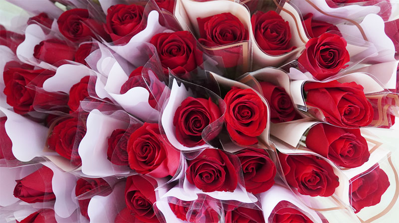 致敬女性力量：做不被定義的“她”！